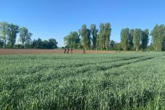 IMG-20250501-WA0017